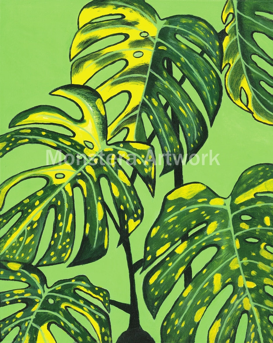 Monstera Thai Constellation-Green. Print